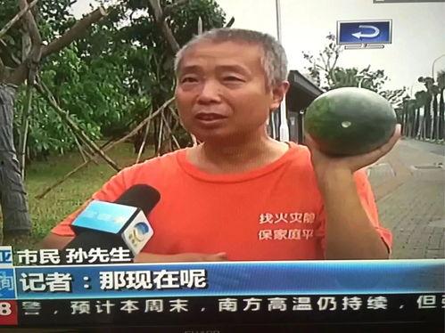 鹰潭吃瓜群众事件,网络舆论漩涡中的真相探寻