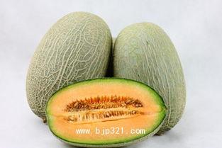 哈密瓜吃凉吗