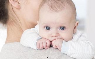 母乳期可以吃羊瓜,羊瓜营养食谱解析