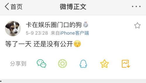 爆料吃瓜账号,吃瓜账号独家爆料，明星幕后真相大曝光！