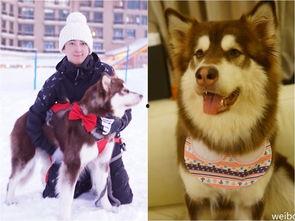 香香公主与爱犬吃瓜,香香公主与爱犬共享夏日瓜果时光