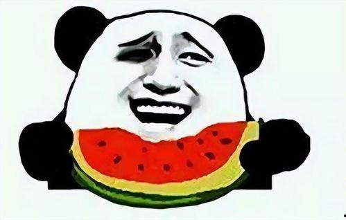 吃瓜奇葩,揭秘那些令人捧腹的奇葩事件