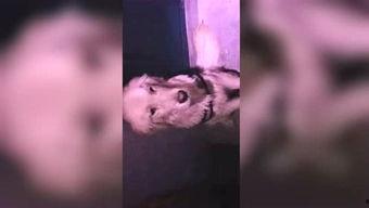 木木往期吃瓜视频,盘点娱乐圈那些鲜为人知的幕后故事