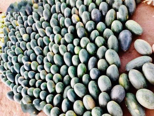 吃瓜认准竹子,吃瓜群众如何通过竹子识别真假信息