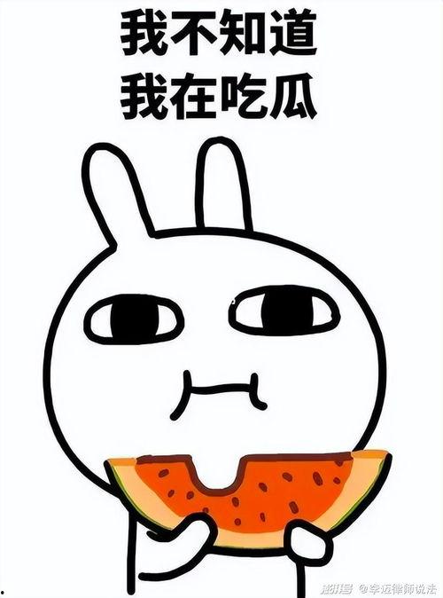 吃瓜宝乐迪,揭秘娱乐圈的甜蜜瓜果盛宴