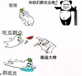 吃瓜微信视频大全,微信视频大全，揭秘娱乐圈幕后故事